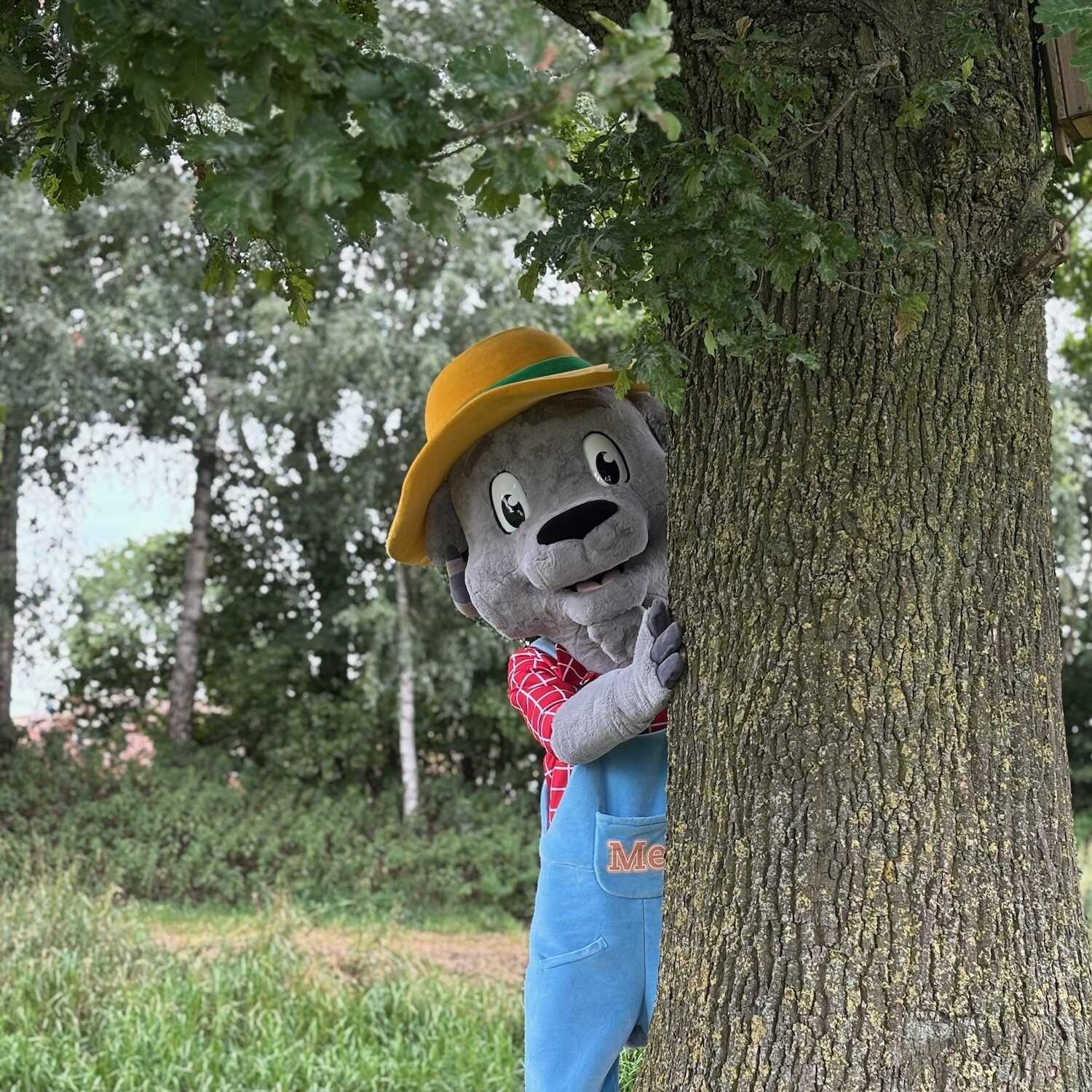 Geniet nog van de laatste week bij Camping de Rammelbeek
